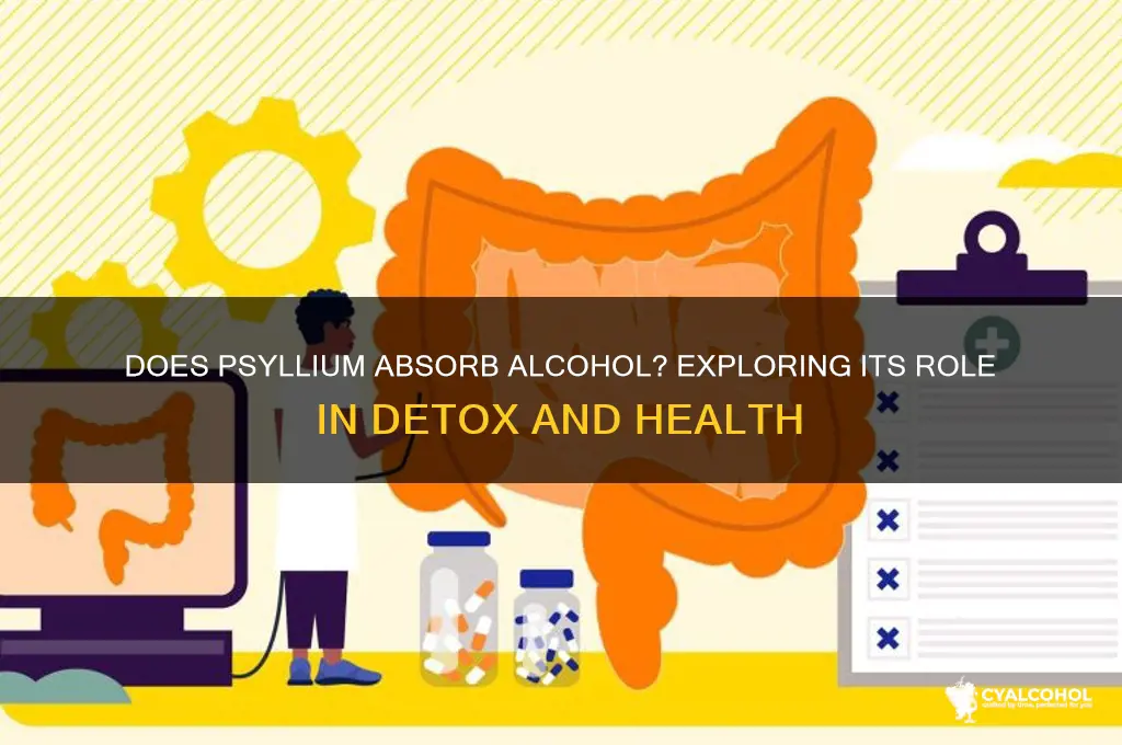 does psyllium absorb alcohol