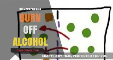 Pumped Milk and Alcohol: Does Alcohol Burn Off in Breast Milk?