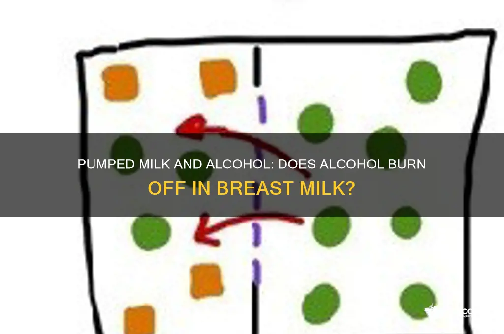 does pumped milk burn off alcohol