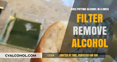 Does Filtering Alcohol Remove Alcohol?