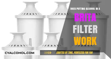 Can a Brita Filter Purify Alcohol? Debunking the Myth