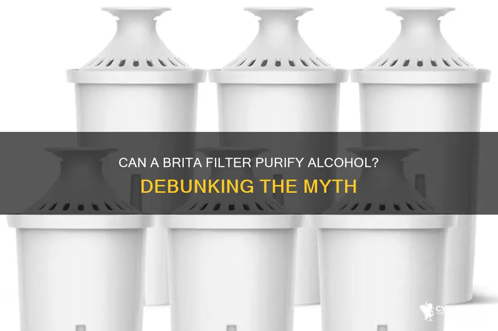 does putting alcohol in a brita filter work