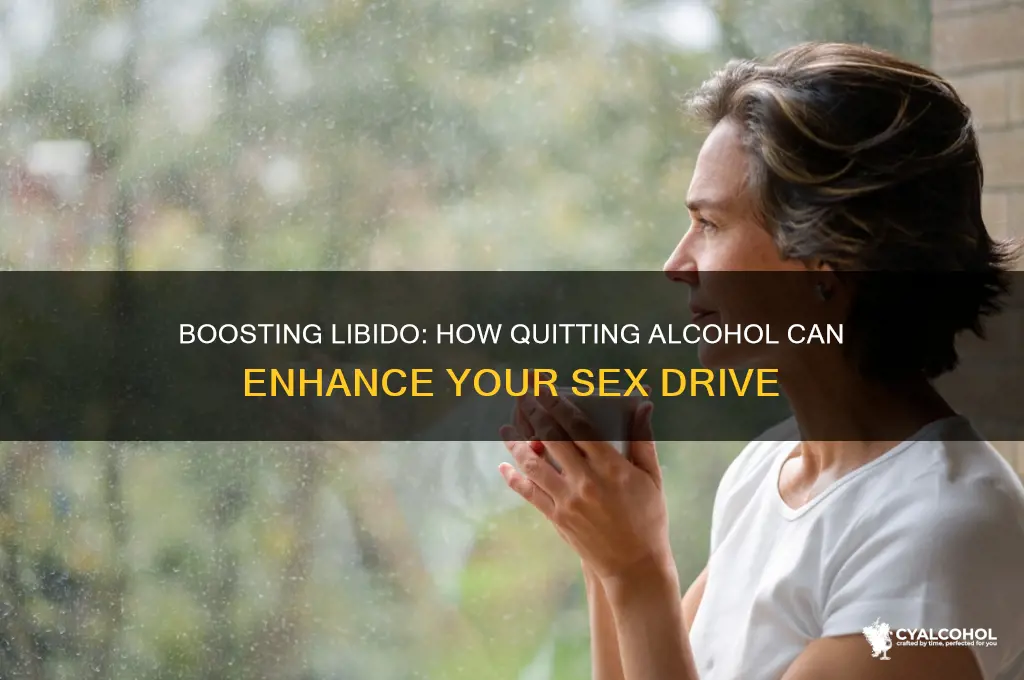 does quitting alcohol increase sex drive