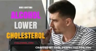 Quitting Alcohol: Impact on Cholesterol Levels and Heart Health