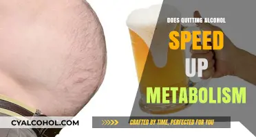 Quitting Alcohol: How It Boosts Your Metabolism and Energy Levels
