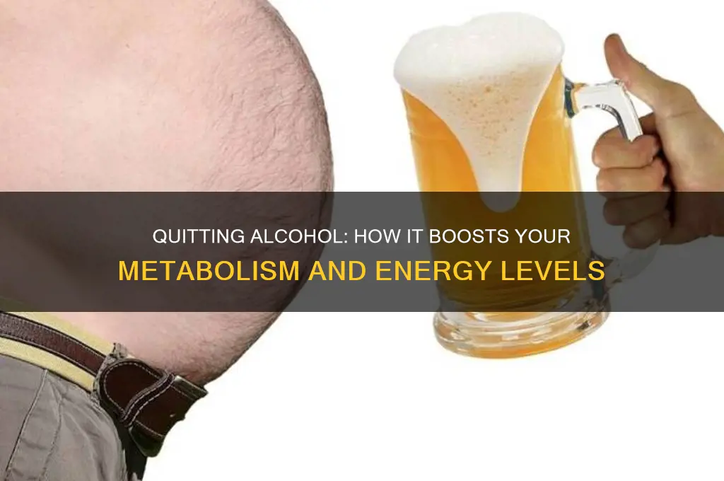 does quitting alcohol speed up metabolism
