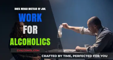 Rehab vs. Jail: Effective Treatment for Alcoholics in the Justice System