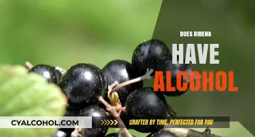 Does Ribena Contain Alcohol? Unraveling the Truth Behind the Beverage