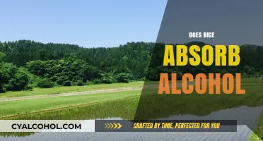Rice and Alcohol Absorption: Fact or Fiction? Uncovering the Truth