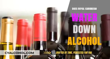 Is Royal Caribbean Diluting Drinks? Alcohol Strength Concerns Explored