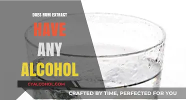 Does Rum Extract Contain Alcohol? Uncovering the Truth for Bakers
