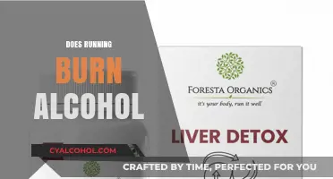Running and Alcohol Metabolism: Can Exercise Burn Off Your Last Drink?