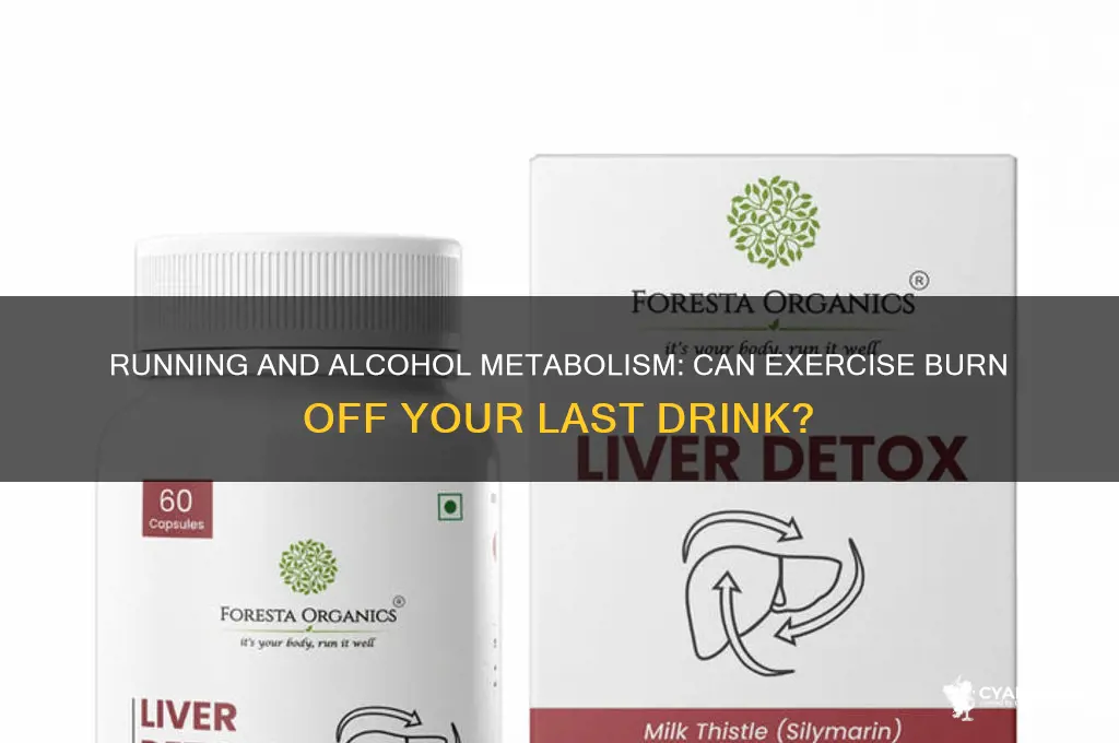does running burn alcohol