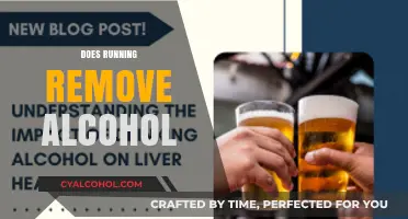 Running and Alcohol: Can Exercise Eliminate Alcohol from Your System?