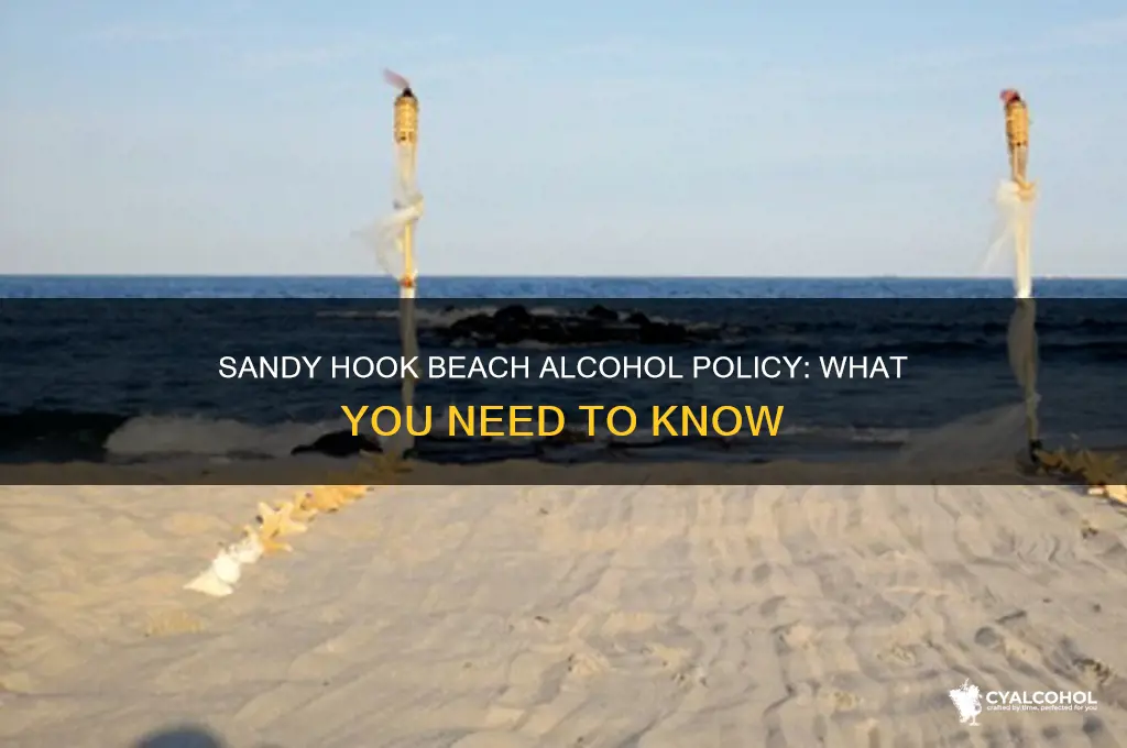 does sandy hook beach allow alcohol