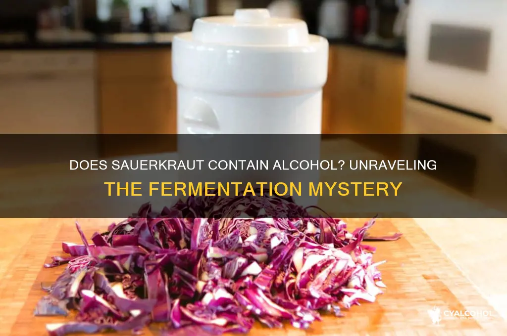 does saurkraut have alcohol