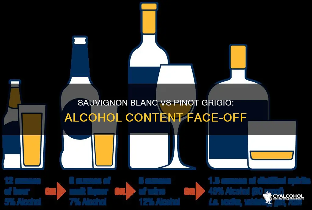 does sauvignon blanc have more alcohol than pinot grigio