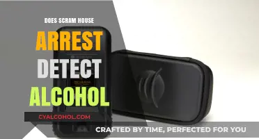 Does SCRAM House Arrest Detect Alcohol? Understanding Its Monitoring Capabilities