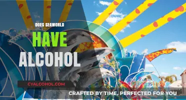 SeaWorld's Alcohol Policy: What You Need to Know Before Visiting