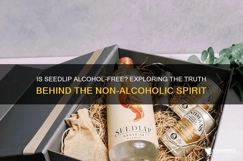 does seedlip have alcohol