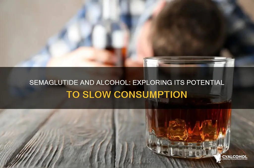 does semaglutide slow alcohol