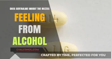 Sertraline and Alcohol: Does It Block the Buzz Feeling?