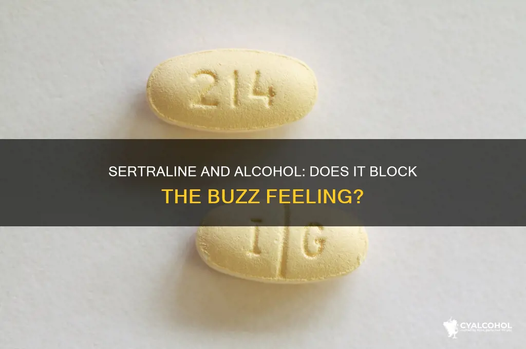 does sertraline inhibit the buzzes feeling from alcohol