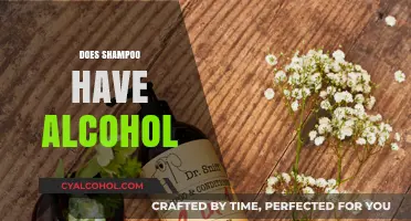 Does Your Shampoo Contain Alcohol? Uncover the Truth and Why It Matters