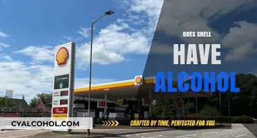 Does Shell Gasoline Contain Alcohol? Uncovering Fuel Additive Truths