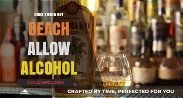 Can You Drink Alcohol at Siesta Key Beach? Rules Explained