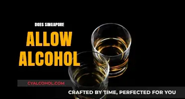 Singapore's Alcohol Policies: What's Allowed and Restricted for Visitors