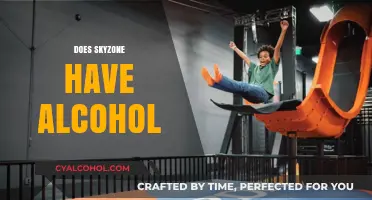 Does SkyZone Serve Alcohol? Exploring Drinks Options at the Trampoline Park
