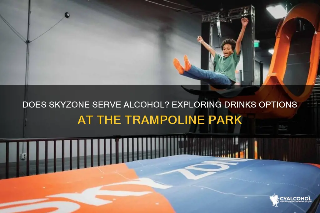 does skyzone have alcohol