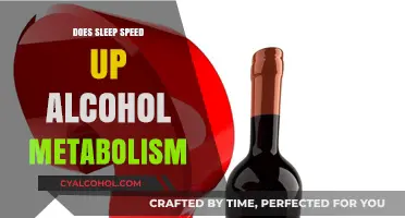 Sleep's Role in Accelerating Alcohol Metabolism: Fact or Fiction?