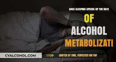 Sleep and Alcohol: A Metabolism Mystery