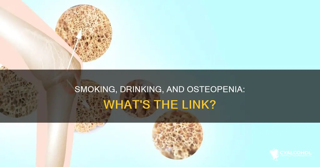 does smoking and excessive alcohol increase risk of osteopenia