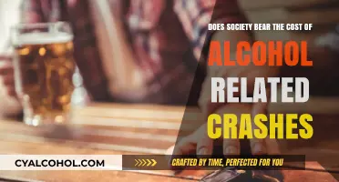 Alcohol-Related Crashes: Who Pays the Price?