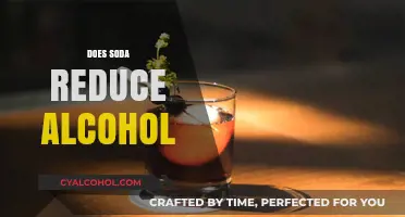 Does Soda Reduce Alcohol Effects? Separating Fact from Fiction