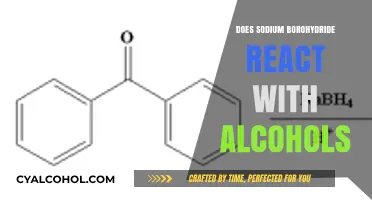 Sodium Borohydride and Alcohols: Unraveling Their Chemical Interaction Potential