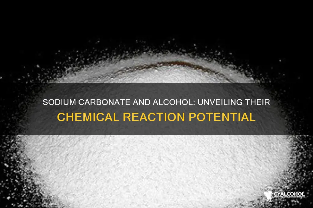 does sodium carbonate react with alcohol