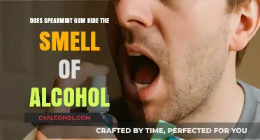 Can Spearmint Gum Mask Alcohol Breath? Uncovering the Truth