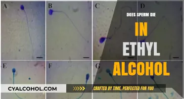 Does Sperm Survive in Ethyl Alcohol? Uncovering the Truth