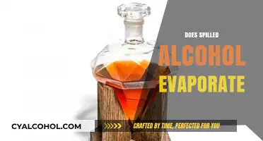 Does Spilled Alcohol Evaporate? The Science Behind Alcohol's Disappearance