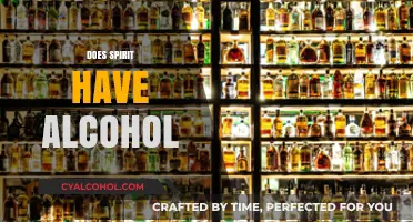 Does Spirit Contain Alcohol? Unraveling the Truth Behind the Name