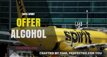 Does Spirit Airlines Serve Alcohol? Uncovering In-Flight Drink Options