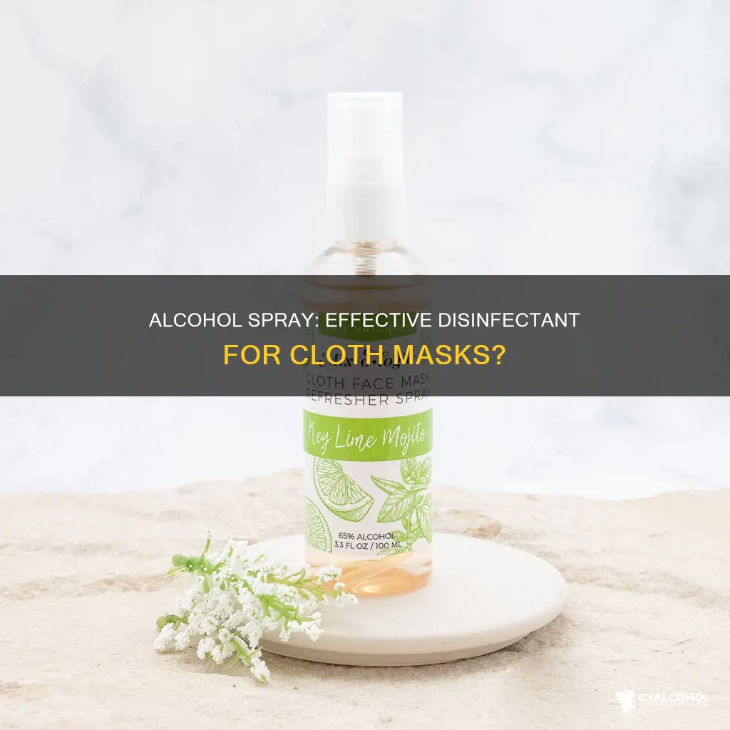 does spraying a cloth mask with alcohol disinfect it