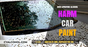 Can Spraying Alcohol Damage Your Car's Paint? Facts Revealed