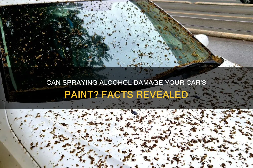 does spraying alcohol harm car paint