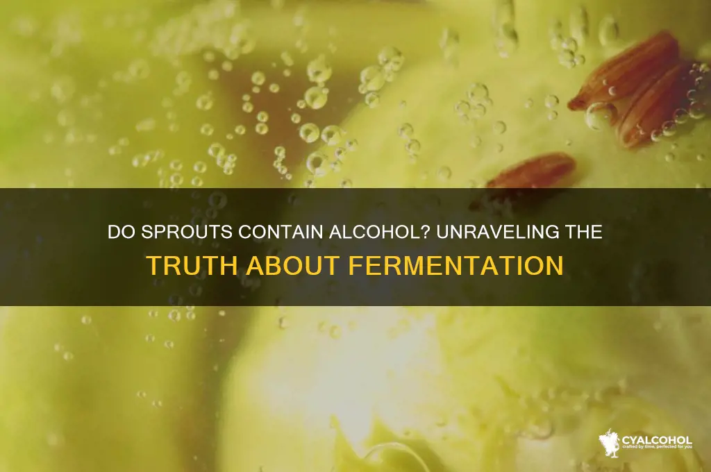 does sprouts have alcohol