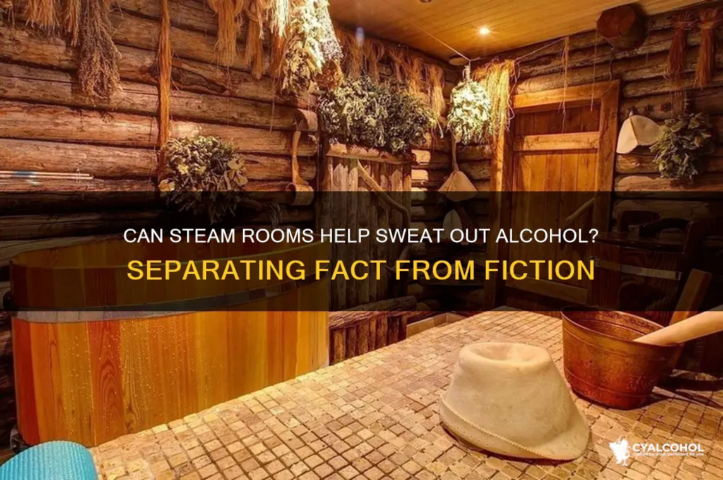 Can Steam Rooms Help Sweat Out Alcohol? Separating Fact From Fiction ...
